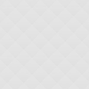 Alister Bank Sponsors Arrowmont School Program